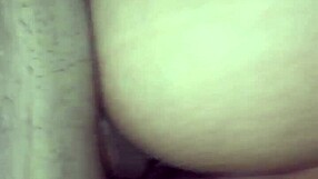 Amateur couple engages in intense sex