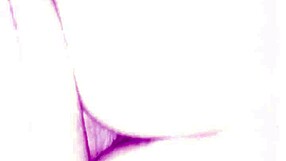 Amateur couple engages in intense sex