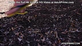 Stalkers Perform Blowjob and Doggystyle Fucking on Alexis Cherry