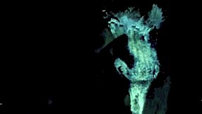 What secrets lurk in vintage dark London during the roaring twenties?