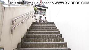 no mosaic how many stairs can you see panchira