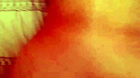 Wife on all fours sucking and fucking intensely