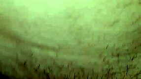 Me And My Girlfriend Enjoy A Quiet Evening Together