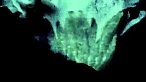 Dark Lantern Entertainment's Vintage Porn Collection