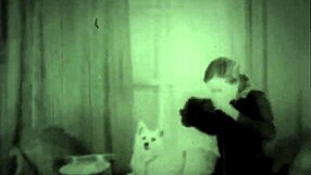 دارك لانترن إنترتينمنت تعرض نساء مع حيوانات