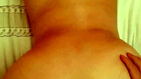 Wife on all fours sucking and fucking intensely