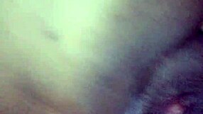 Eros in Harlem: Sex with a Beautiful Buoyant Boobed Babe