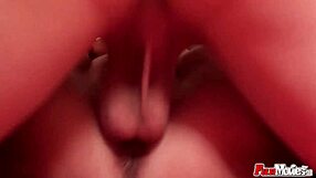 i nailed those milfs in lingerie