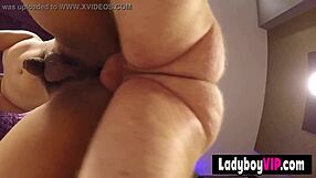 this cute skinny asian ladyboy slut in pov style fuck is rough