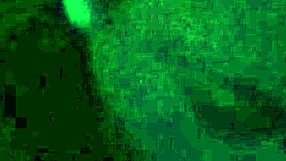 Real amateur facial experienced intercourse and swallow cum