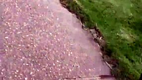 Mavanbo stopped me on the street for a casual amateur chat