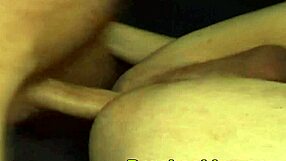 Gay Blowjob and Anal Action