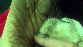 Want to worship Elizabeth's dirty feet?