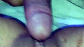 Introducing The New Official Site Of The Exhibitionist Wife With Plenty Of Content