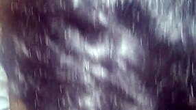 morena safada chupando tudo