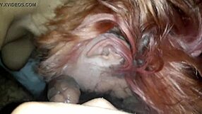 Wife Delivers Skilled Blowjob on Husband's Enormous Monster Cock