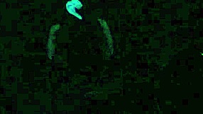 Scarlett johnson explores blacklight fetish sex in pov part 4