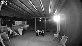 i got caugh sucking big dick on the porch with the gate open so neighbors can see my deepthroat