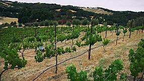 The Compass Rose HD Catfight Scene