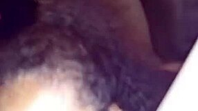 brook starr endures pain and pleasure with monster cock doggystyle