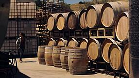 The Compass Rose HD Catfight Scene