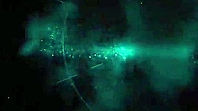 Pov Scene Of Gorgeous Brunette Casey Cumz Blowing Cock Like A Fucking Pro!