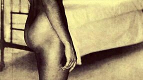 Dark lantern entertainment presents retro vintage porn with hairy blowjobs