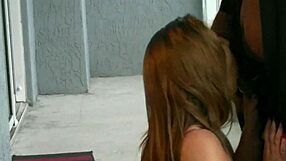 i enjoy boobs and blowjobs