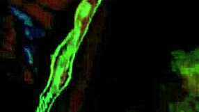 Vintage blowjobs spanning two centuries