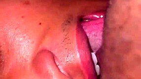 Latina slut sits on ebony face with big black cock sucking