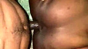 ebony ass pounded in pov homemade fuck