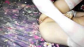 Eronekokun Masturbates In Rainbowdash Pantsu With Buttplug And Stockings!