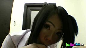 small tit thai babe teases while sucking and riding hard