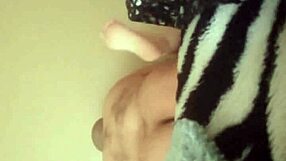 What amateur homemade fun are you hiding from me?