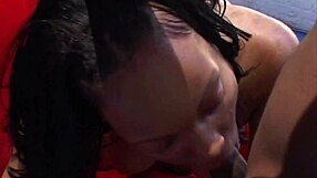 Cute Ebony Amateur Sucks Cock and Gets Facial Cumshot on Tits