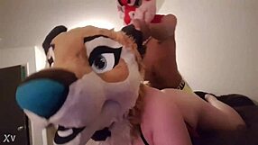 guy fucks girl in fursuit