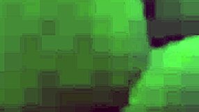 pelotero 18 venezuelan