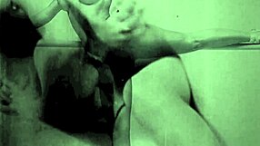 vintage glimpse dark lantern entertainment presents my secret life the 19th century diaries of an english gentleman