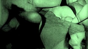 vintage glimpse dark lantern entertainment presents my secret life the 19th century diaries of an english gentleman