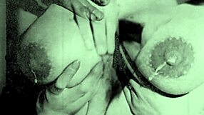 vintage glimpse dark lantern entertainment presents my secret life the 19th century diaries of an english gentleman