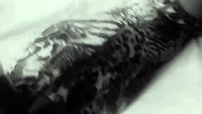 ebony blowjob on my sexy ass in missionary until cum