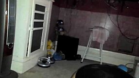 A horny wife oral and vagina sex with a black cock