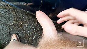 just caught this twink wanking in the parking lot at midday, damn he's bold