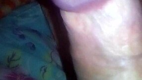 Discovering the beauty of Brazil