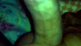 Discovering the beauty of Brazil