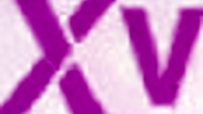 Mi primer gangbang dap con Barbie me dejó sin palabras y dolorida