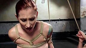 redhead slave learns group training skills