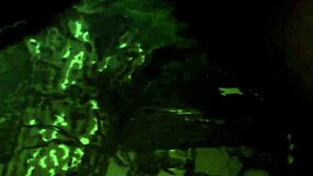 Step sis bends over for intense doggystyle hardcore with milf passion