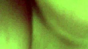 Amateur Homemade Encounter Turns into One Night Stand