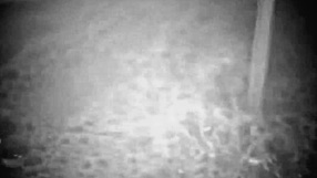 Jimena Sanchez, that horny Mexican bitch, craves more from her sporty clients